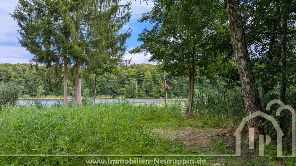 Am Tetzensee: bewaldetes Grundstück mit großer Lichtung und Zugang zum Wasser